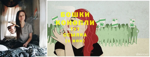 эйфоретик Липки