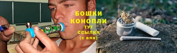 крисы Кулебаки