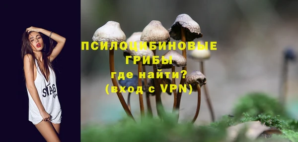 spice Лабытнанги