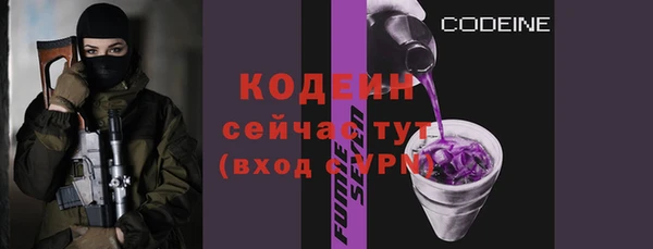 мдпв Ладушкин