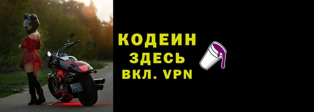 крисы Кулебаки