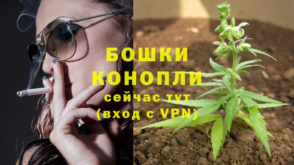 мдпв Ладушкин
