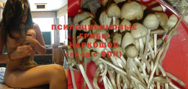 spice Лабытнанги