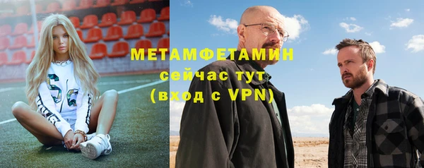 крисы Кулебаки